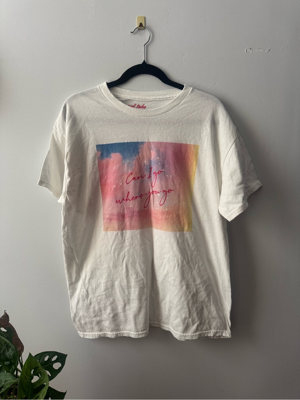 Taylor Swift Lover Inspired Shirt